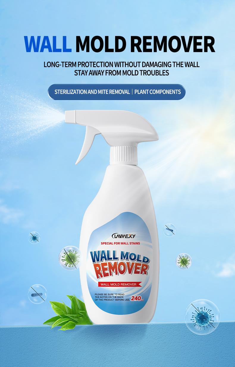 🔥Time-Limited Promotion🔥Highly Effective Mould Removal Spray
